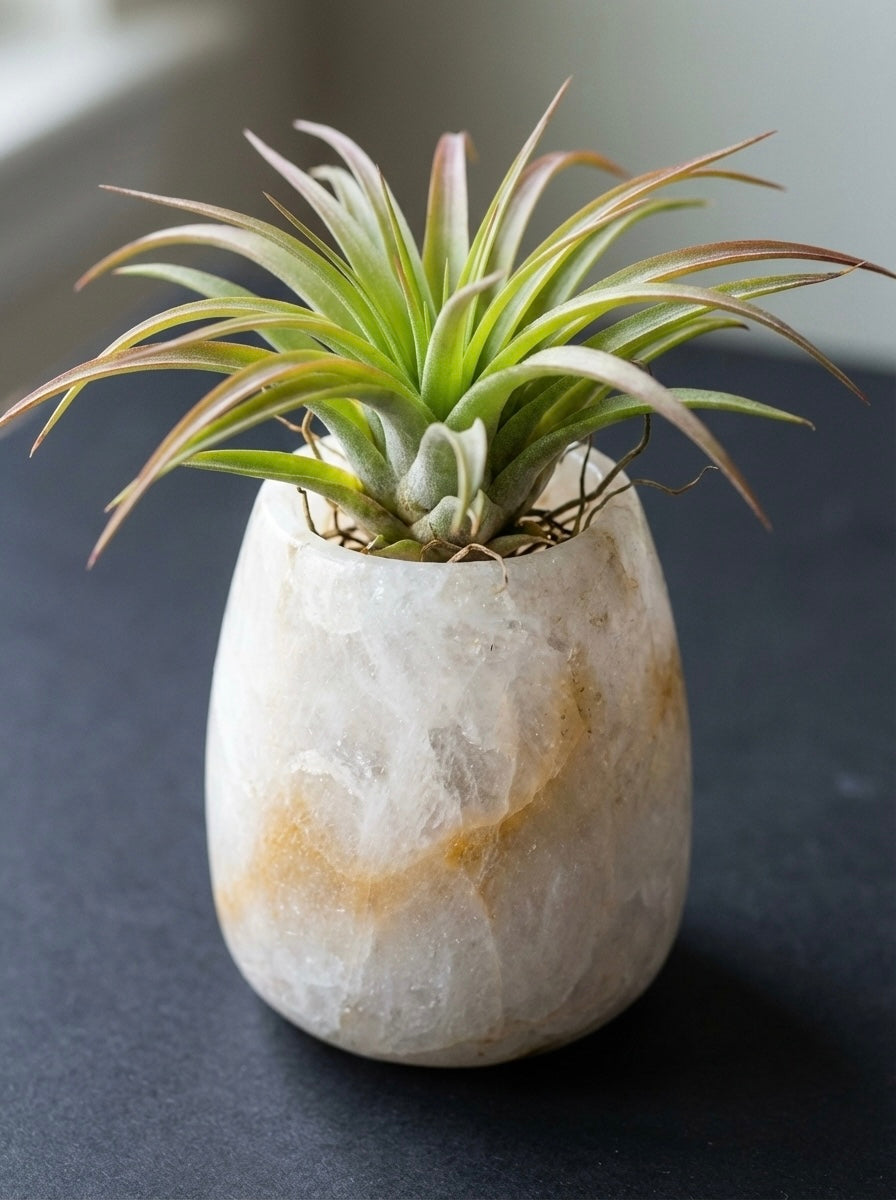 Alabaster Barrel Luminary