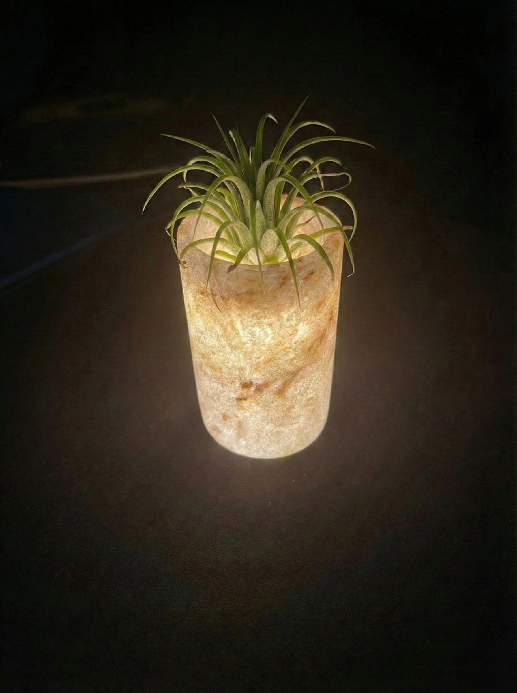 Soft Glow Alabaster Cylinder